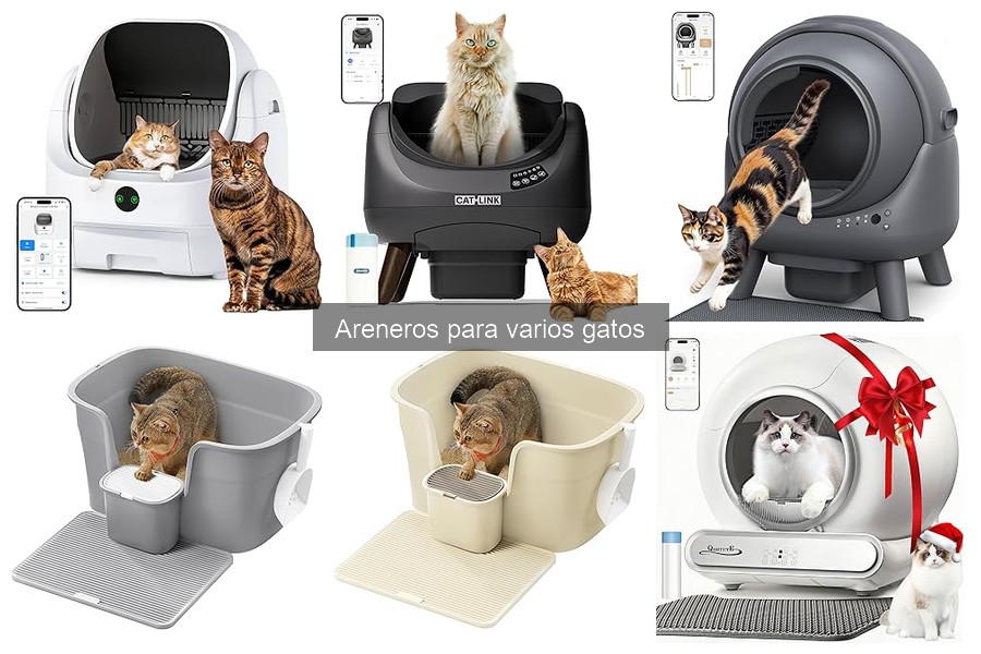 Cómo instalar un arenero para varios gatos: guía práctica
