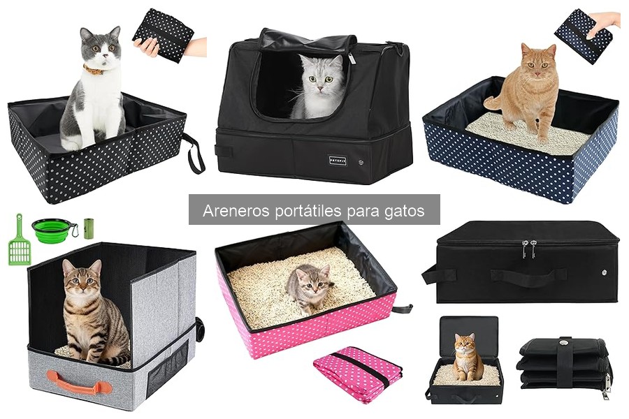 Cómo instalar un arenero portátil para gatos fácilmente