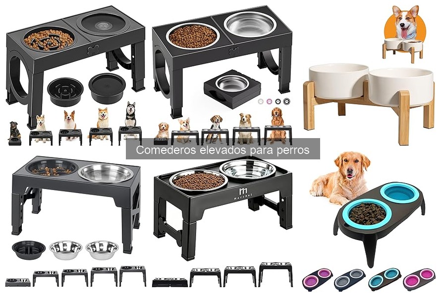 Cómo instalar un comedero elevado para perros fácilmente