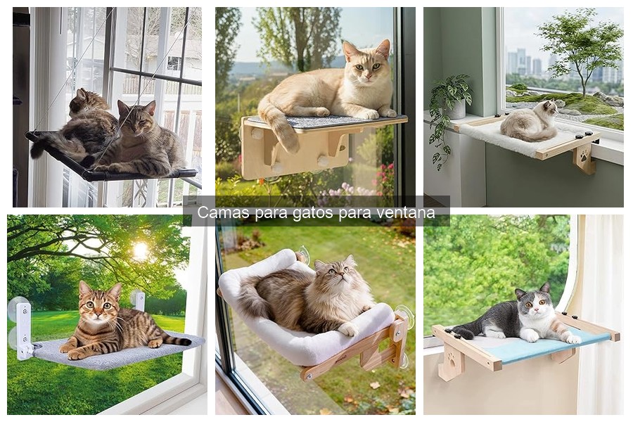 Cómo instalar una cama para gatos en la ventana fácilmente