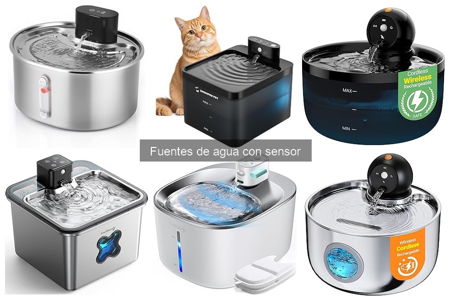 Cómo instalar una fuente de agua con sensor para mascotas
