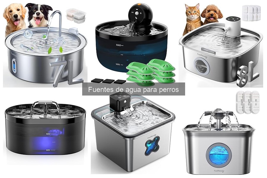 Cómo Instalar una Fuente de Agua para Perros Fácilmente