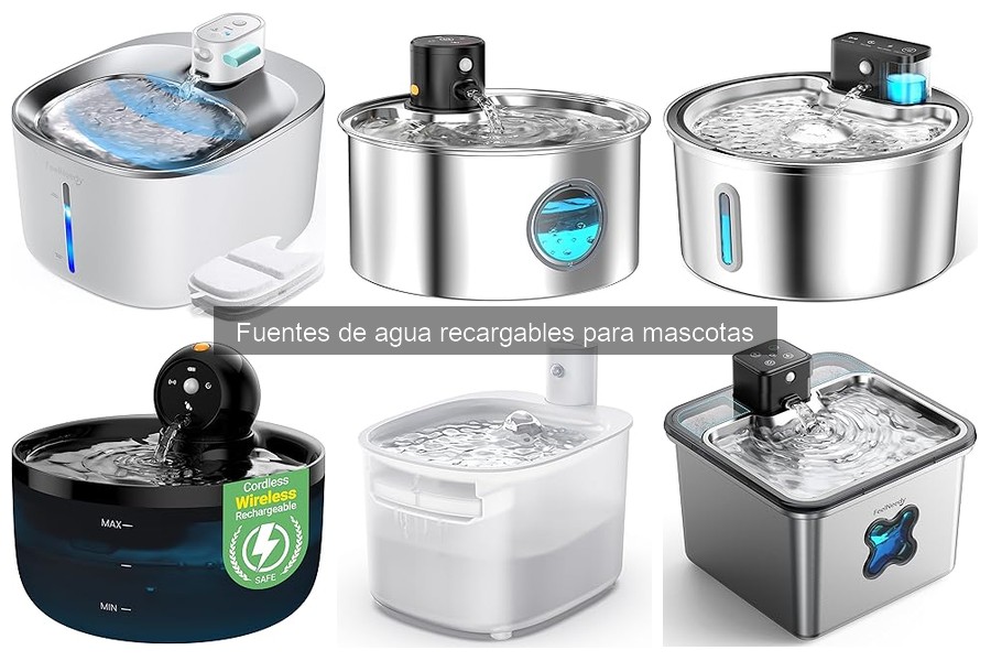 Cómo instalar y mantener tu fuente de agua para mascotas