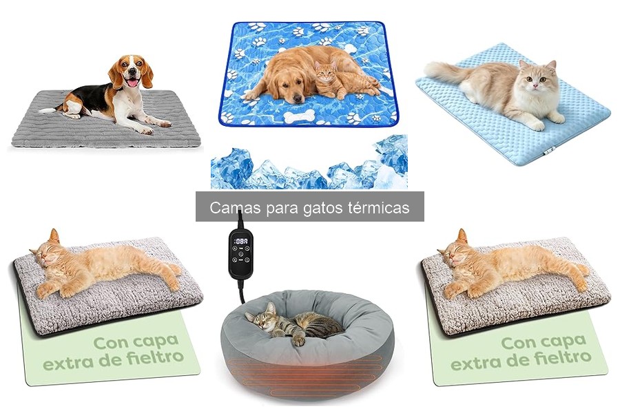 Cómo Instalar y Usar Camas Térmicas para Gatos
