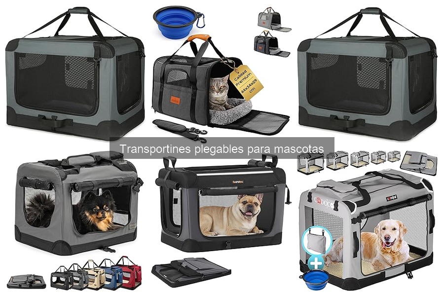 Cómo instalar y usar un transportín plegable para mascotas