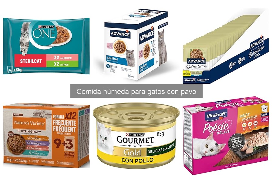 Cómo introducir comida húmeda con pavo en la dieta de tu gato