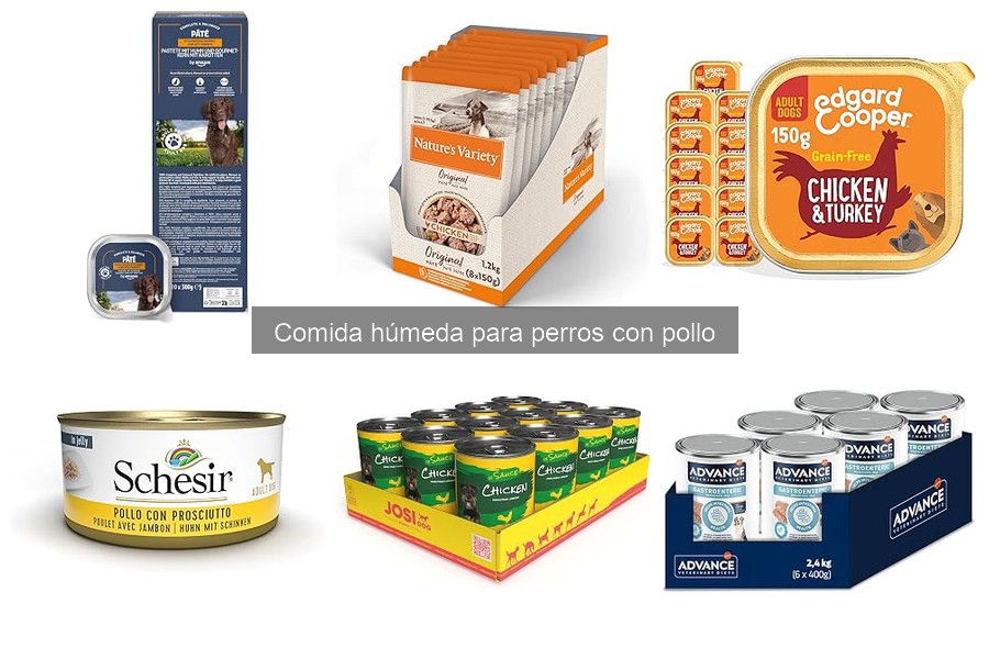 Cómo introducir comida húmeda de pollo en la dieta de tu perro