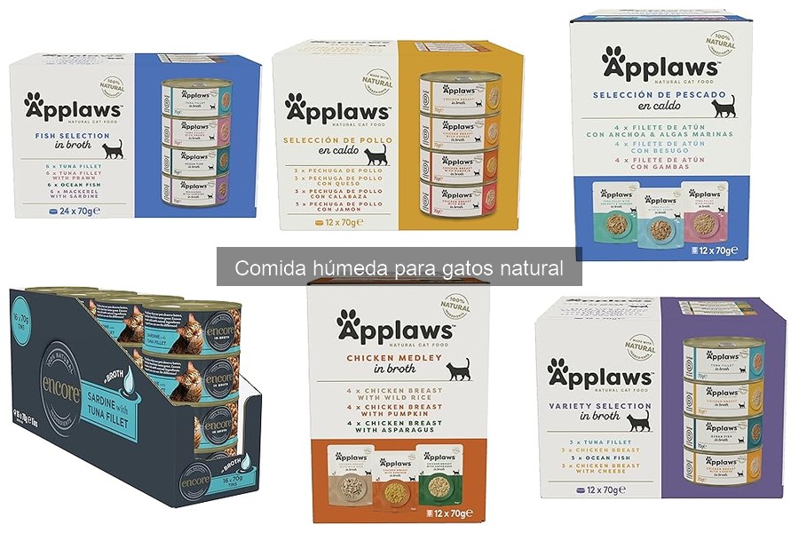 Cómo Introducir Comida Húmeda Natural en la Dieta de Gatos