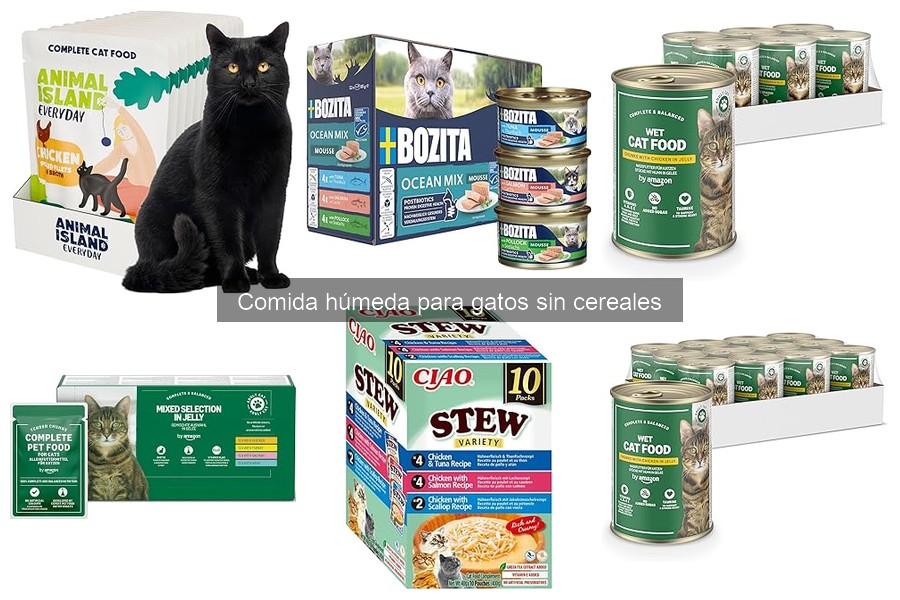 Cómo introducir comida húmeda sin cereales en la dieta de tu gato