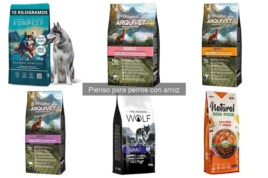 Cómo introducir el pienso con arroz en la dieta de tu perro