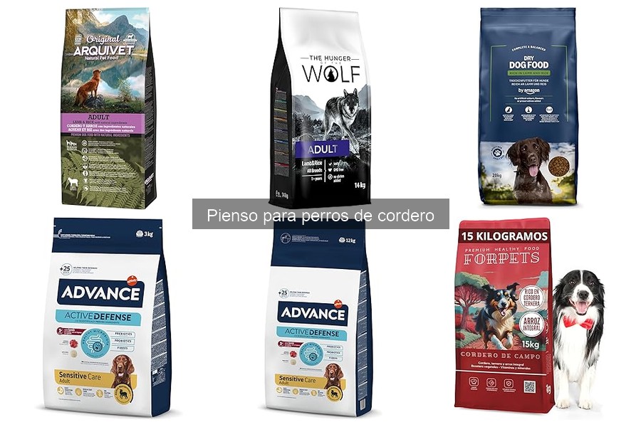 Cómo introducir el pienso de cordero en la dieta de tu perro