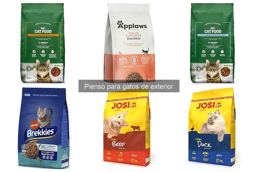 Cómo introducir el pienso para gatos de exterior fácilmente
