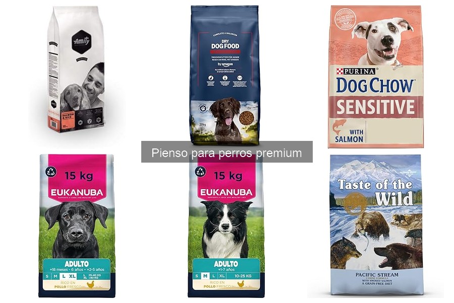Cómo introducir el pienso premium a la dieta de tu perro