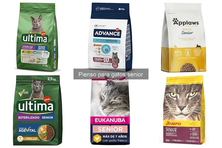 Cómo Introducir el Pienso Senior en la Dieta de tu Gato