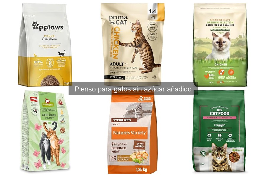 Cómo introducir el pienso sin azúcar en la dieta de tu gato