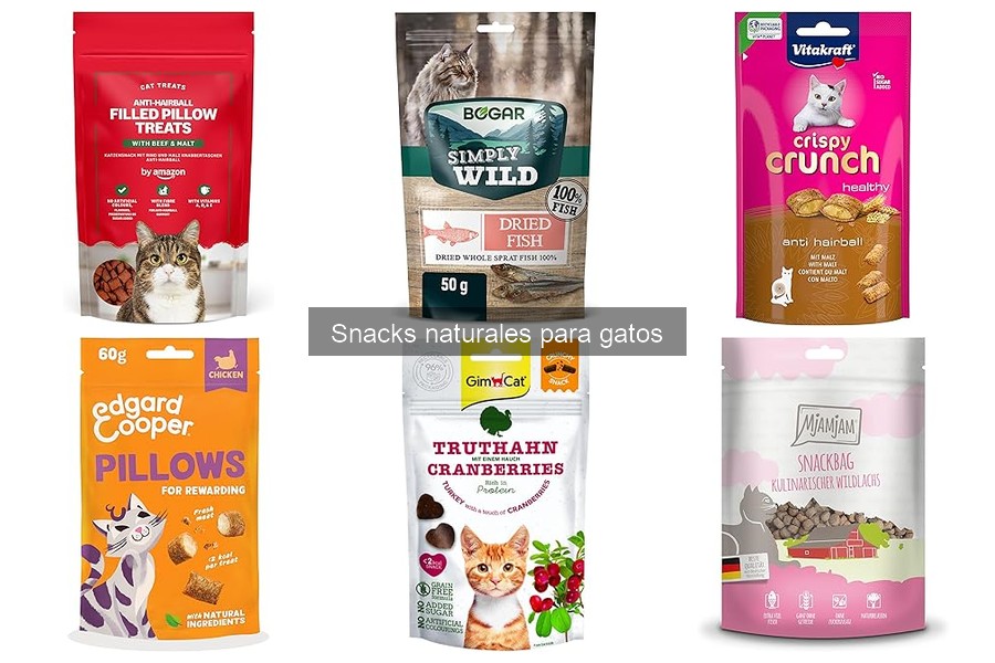 Cómo introducir nuevos snacks naturales en la dieta de tu gato