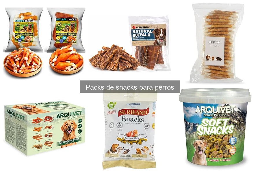 Cómo introducir nuevos snacks para perros de forma segura