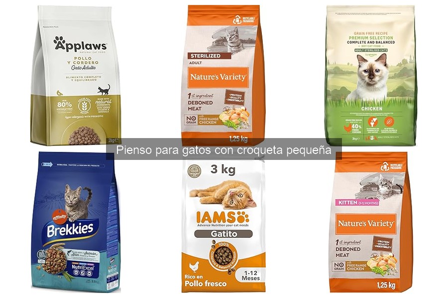 Cómo introducir pienso de croqueta pequeña para gatos