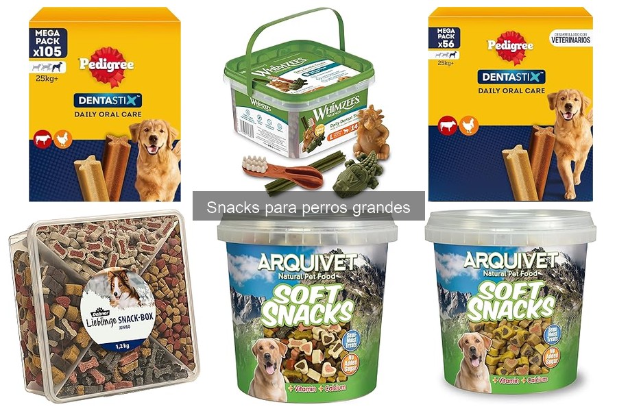 Cómo introducir snacks a la dieta de un perro grande