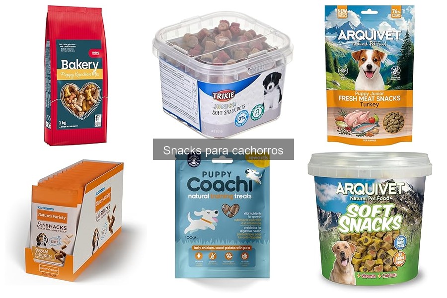 Cómo Introducir Snacks en la Dieta de tu Cachorro