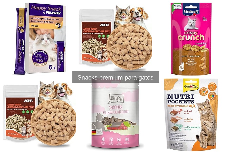 Cómo Introducir Snacks Premium en la Dieta de Tu Gato