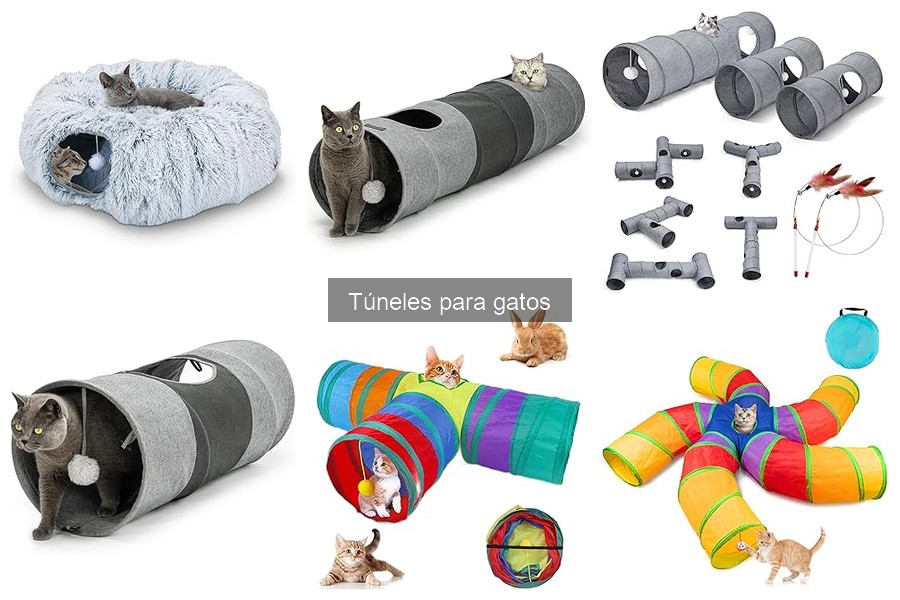 Cómo introducir un túnel a tu gato: consejos prácticos