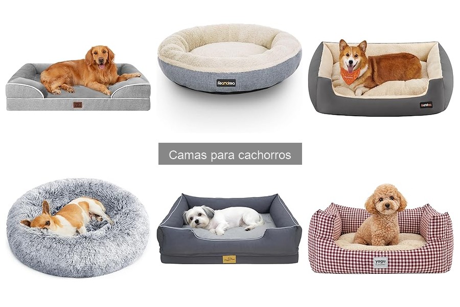 Cómo la cama ideal mejora el sueño de tu cachorro