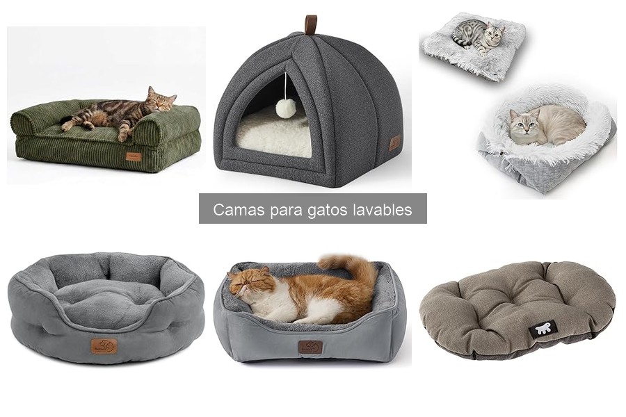 Cómo lavar adecuadamente una cama para gatos lavable