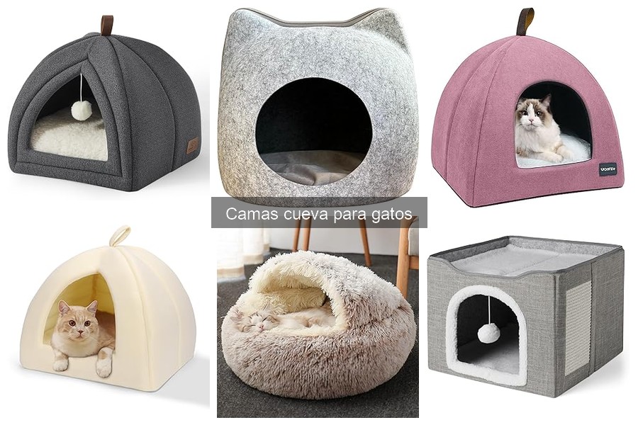 Cómo lavar y mantener camas cueva para gatos correctamente