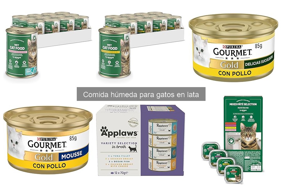 Cómo Leer Etiquetas de Comida Húmeda para Gatos en Lata