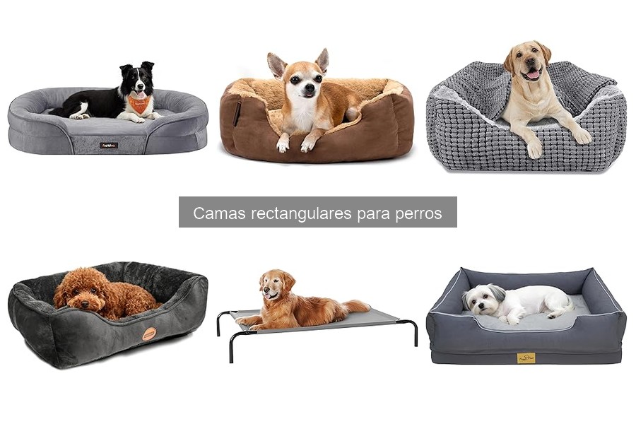 Cómo limpiar adecuadamente una cama rectangular para perros