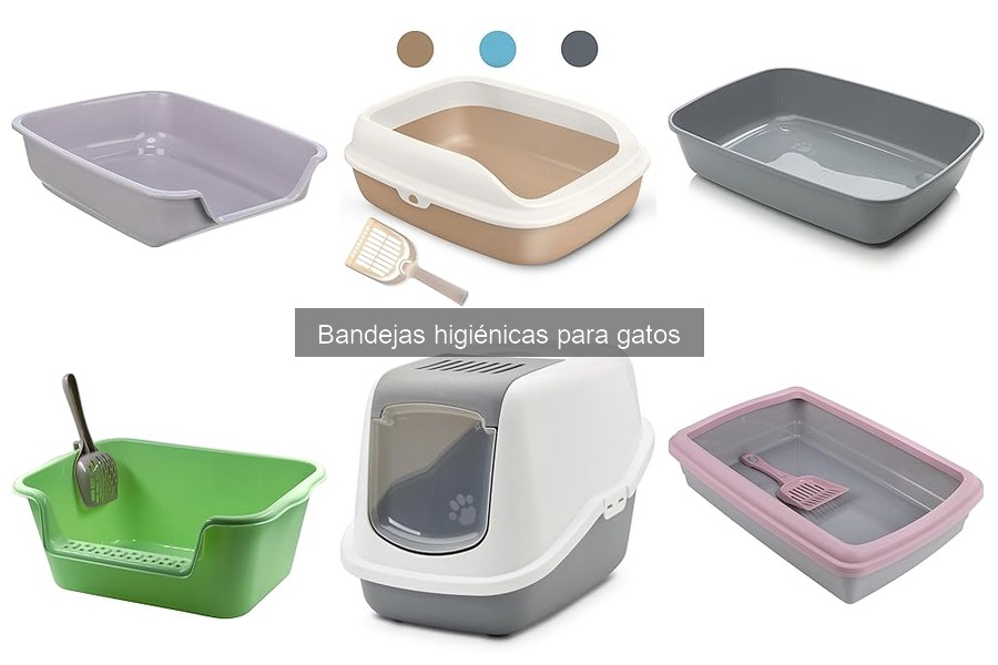 Cómo limpiar bandejas higiénicas para gatos de forma efectiva