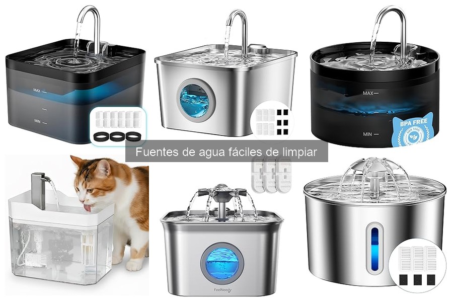 Cómo limpiar correctamente una fuente de agua para mascotas