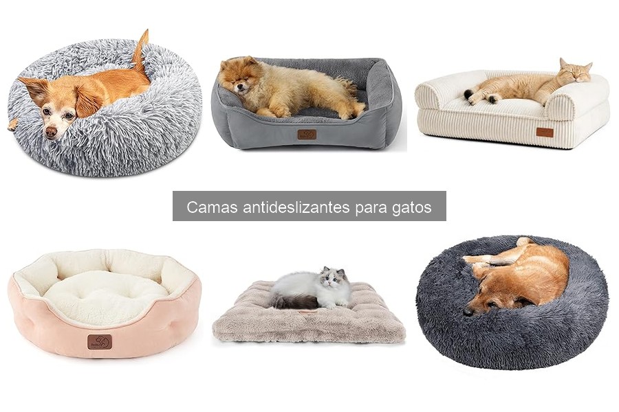 Cómo limpiar y mantener camas antideslizantes para gatos