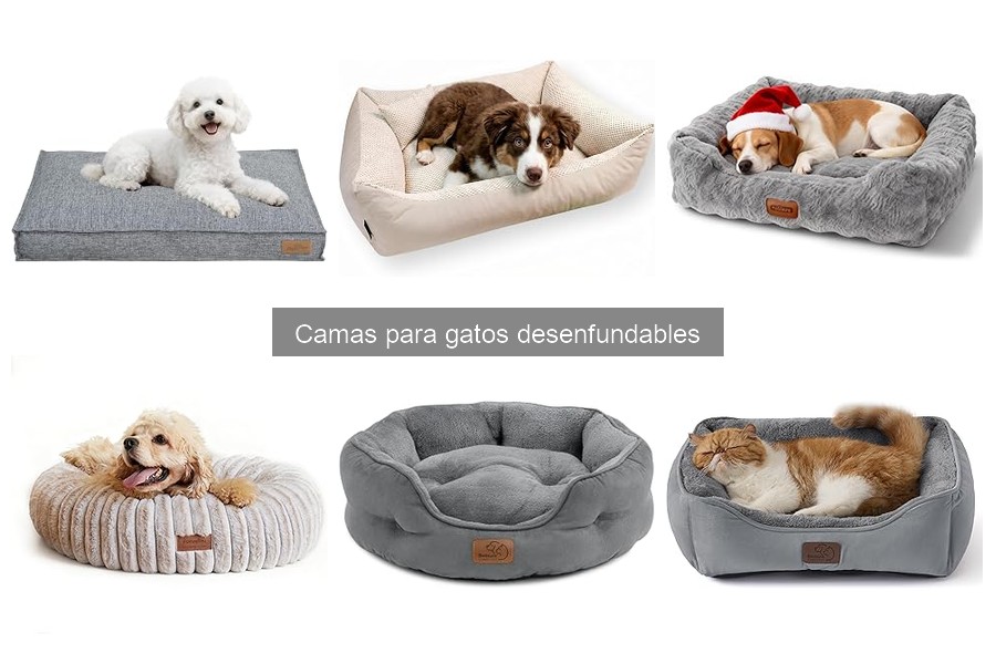 Cómo Limpiar y Mantener Camas Desenfundables para Gatos