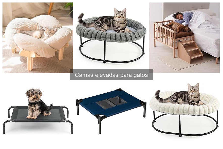 Cómo limpiar y mantener camas elevadas para gatos
