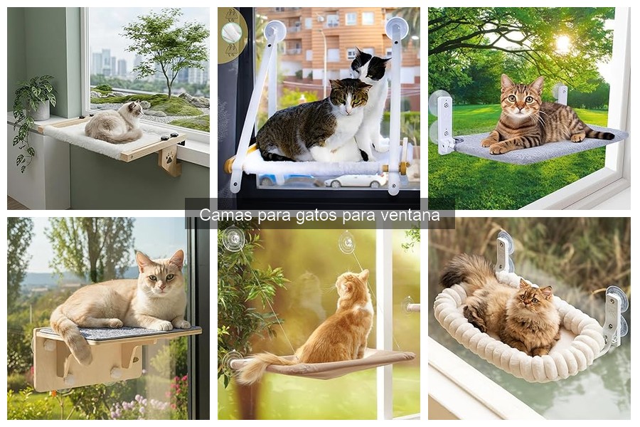 Cómo limpiar y mantener camas para gatos en la ventana
