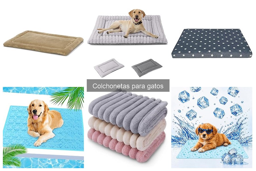 Cómo limpiar y mantener colchonetas para gatos fácilmente