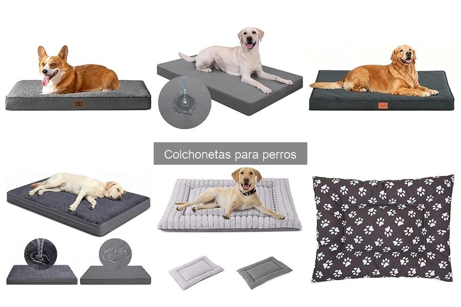 Cómo limpiar y mantener colchonetas para perros fácilmente