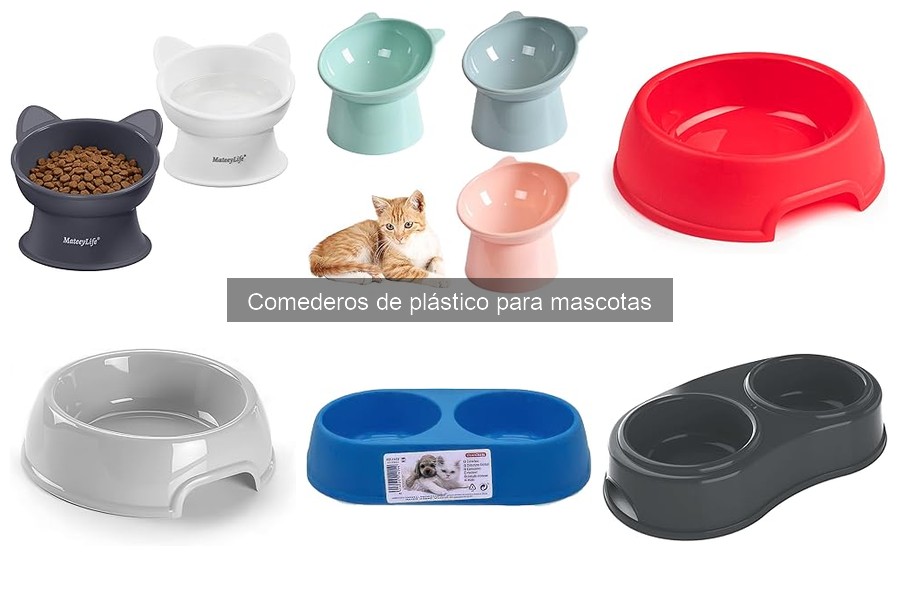 Cómo limpiar y mantener comederos de plástico para mascotas