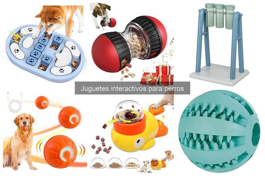 Cómo limpiar y mantener juguetes interactivos para perros