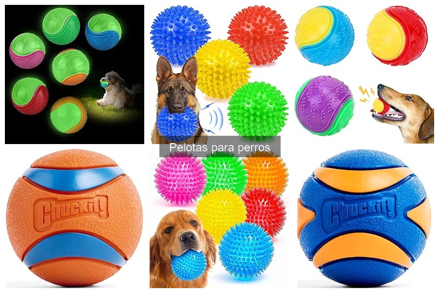 Cómo limpiar y mantener pelotas para perros de forma efectiva