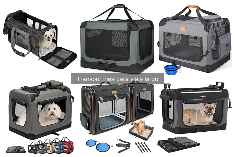 Cómo limpiar y mantener transportines para mascotas
