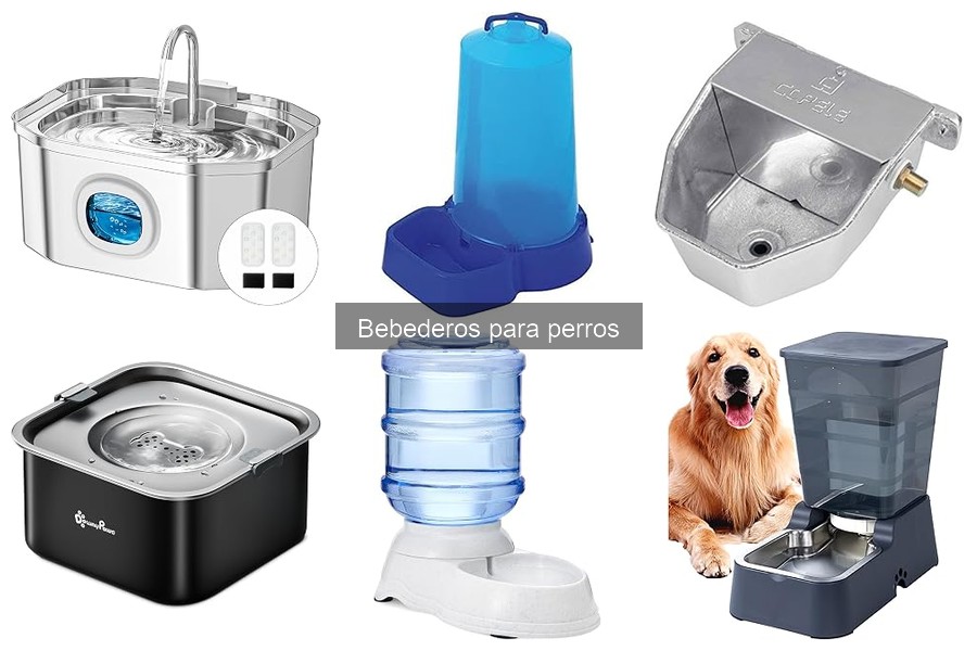 Cómo limpiar y mantener un bebedero para perros
