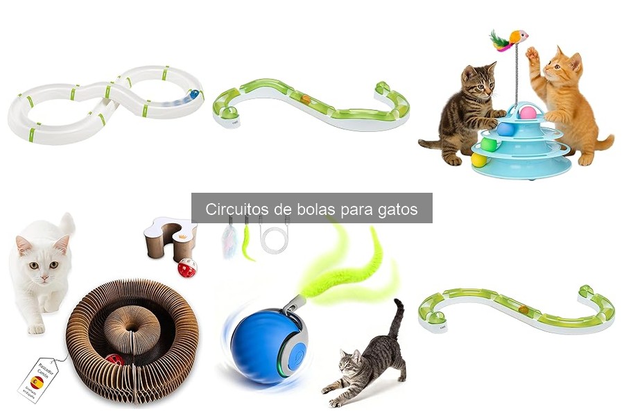 Cómo limpiar y mantener un circuito de bolas para gatos