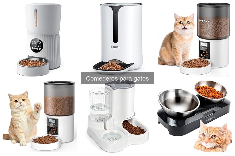 Cómo limpiar y mantener un comedero para gatos