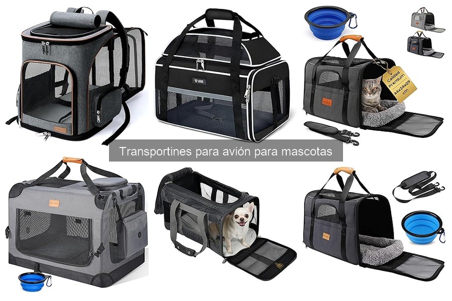 Cómo limpiar y mantener un transportín para avión