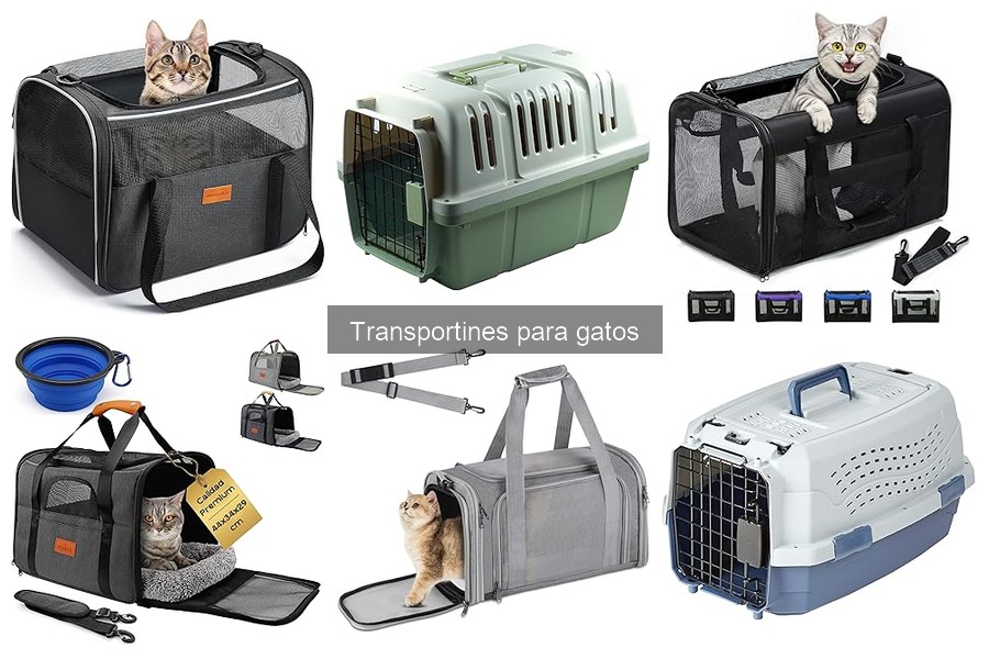 Cómo limpiar y mantener un transportín para gatos