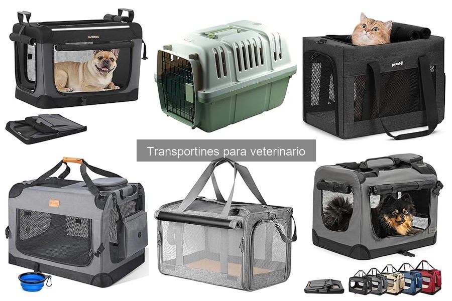 Cómo limpiar y mantener un transportín para mascotas