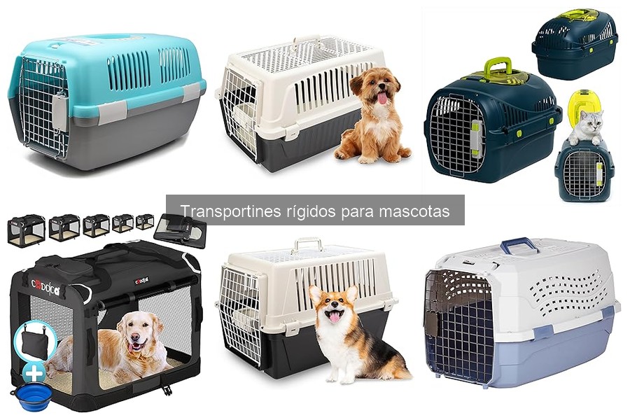 Cómo limpiar y mantener un transportín rígido para mascotas